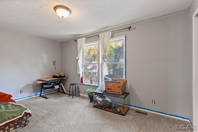 miscellaneous room featuring carpet flooring and a textured ceiling