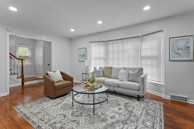 living room with crown molding and dark wood-type flooring