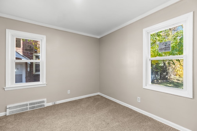 empty room with carpet flooring, a healthy amount of sunlight, and ornamental molding