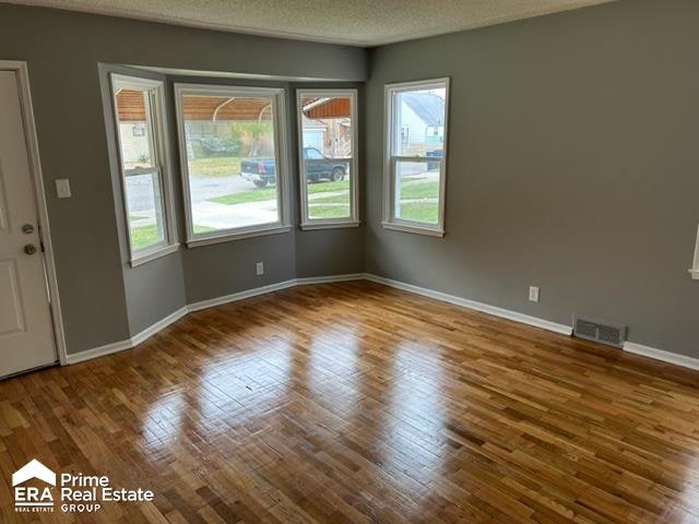 empty room featuring hardwood / wood-style floors, a textured ceiling, and a wealth of natural light