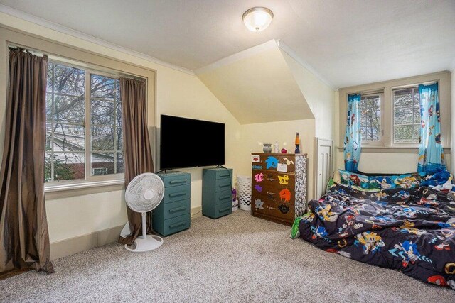 633 Marshall St, Allegan, MI 49010 - bedroom featuring carpet and vaulted ceiling