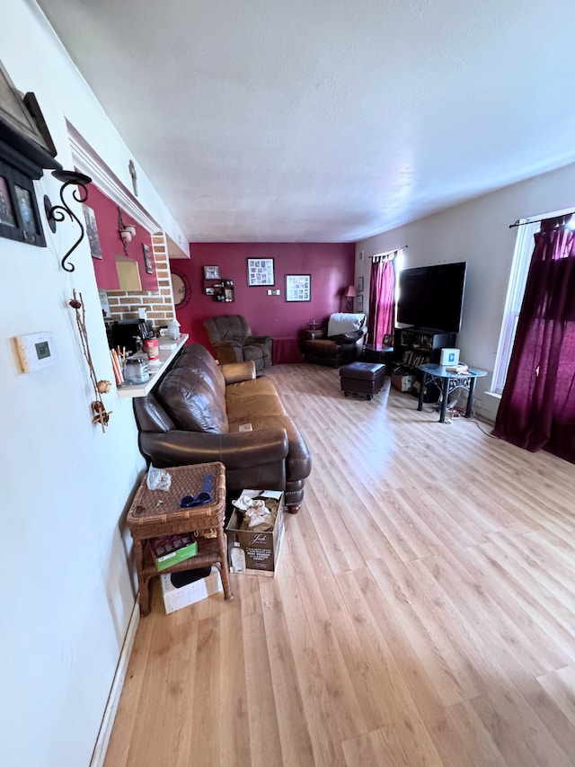 living room featuring light hardwood / wood-style flooring