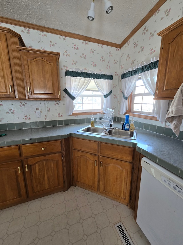 kitchen with white dishwasher, sink, a wealth of natural light, and a textured ceiling