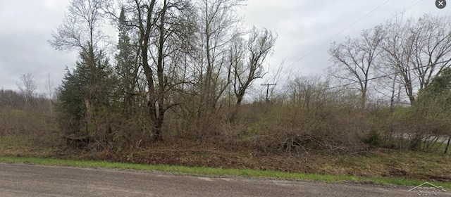 VL W Frances Rd, Flushing MI, 48433 land for sale