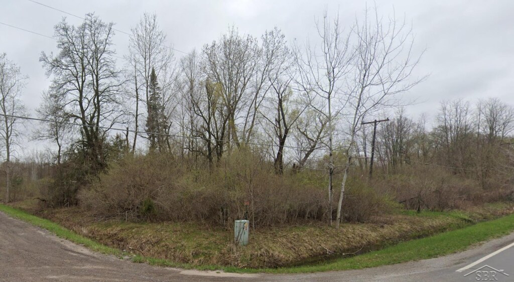 VL W Frances Rd, Flushing, MI 48433