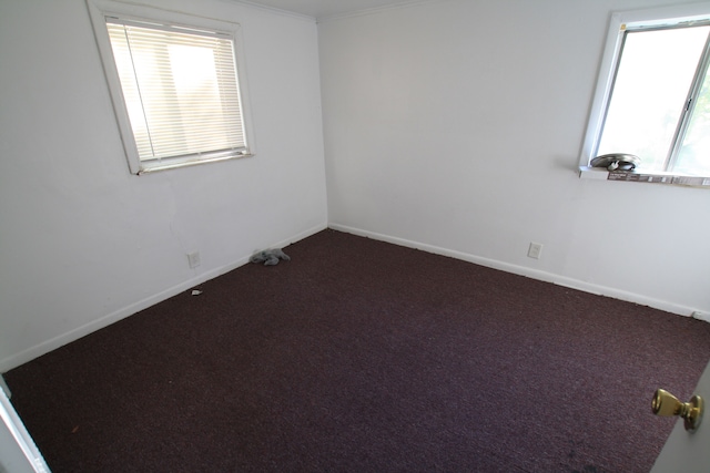 carpeted empty room featuring ornamental molding