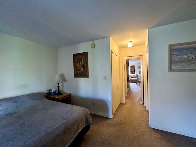 bedroom with carpet floors