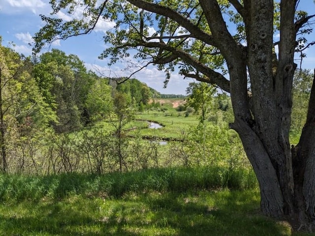 view of local wilderness