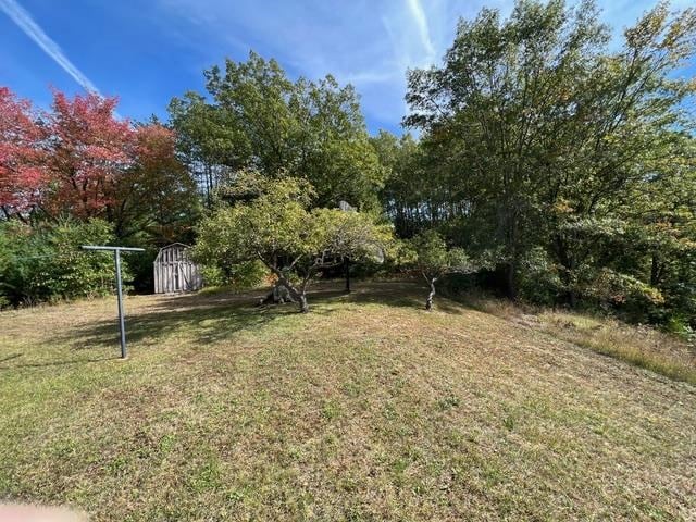 view of yard featuring a shed