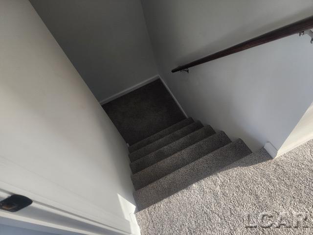 staircase with carpet