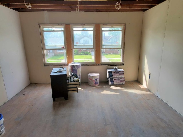 miscellaneous room with light hardwood / wood-style floors and a wealth of natural light