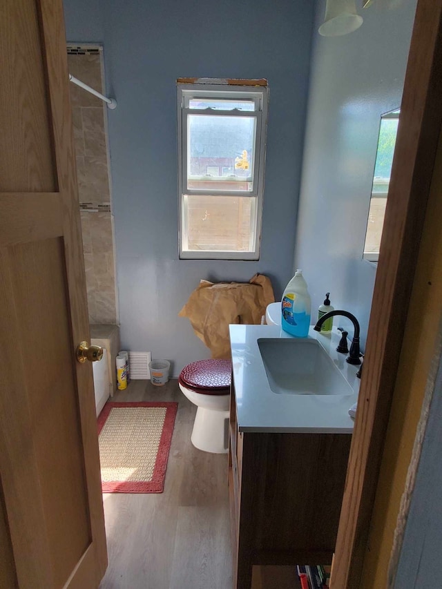 bathroom featuring vanity, wood-type flooring, and toilet