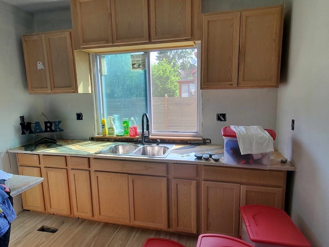 kitchen featuring light hardwood / wood-style floors and sink