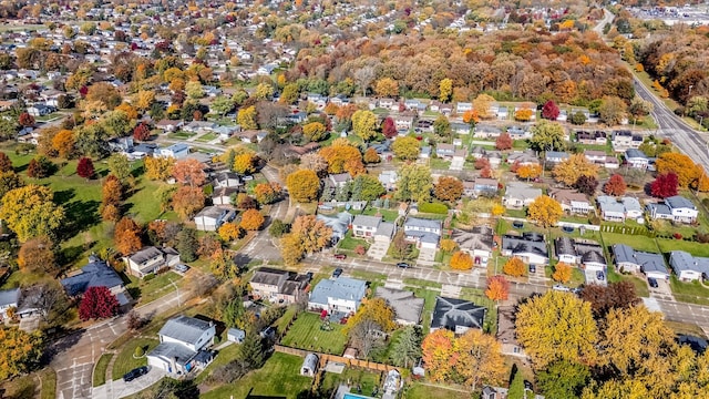 bird's eye view