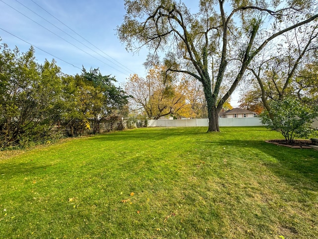 view of yard