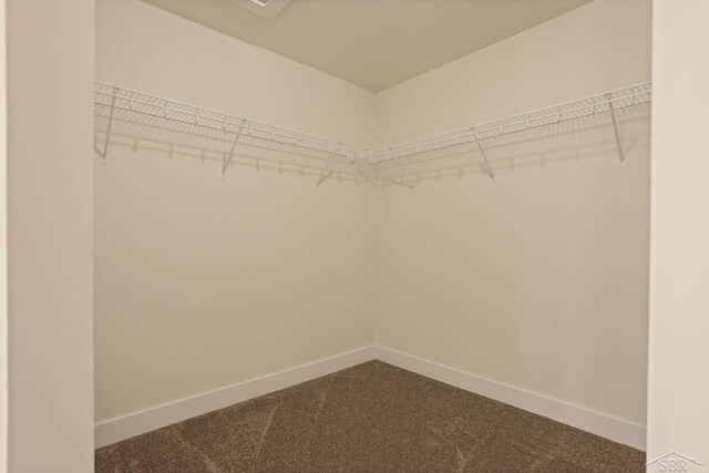 2210 Fox Run Rd, West Branch, MI 48661 - walk in closet with dark carpet