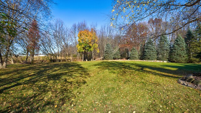 5280 O Connor Pass, Swartz Creek, MI 48473 - view of green lawn