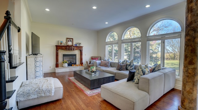 living room with dark hardwood / wood-style floors, crown molding, and a healthy amount of sunlight