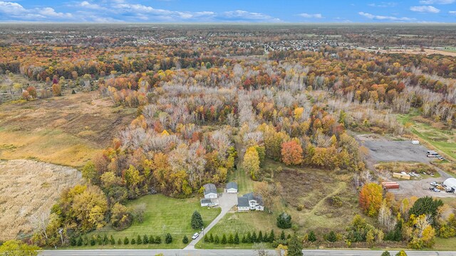 6700 Bethuy Rd, Ira, MI 48023 - aerial view of property and surrounding area