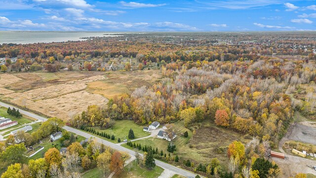 6700 Bethuy Rd, Ira, MI 48023 - aerial view of property's location featuring a large body of water