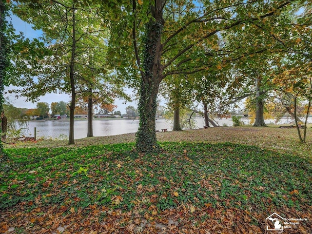 6405 Stillwater Ct, Erie, MI 48133 - water view
