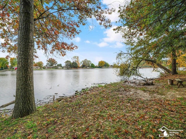 6405 Stillwater Ct, Erie, MI 48133 - water view