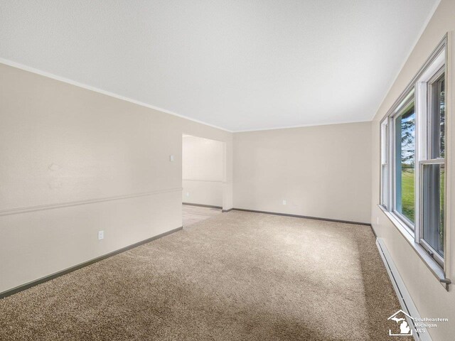6405 Stillwater Ct, Erie, MI 48133 - carpeted spare room with baseboards and crown molding