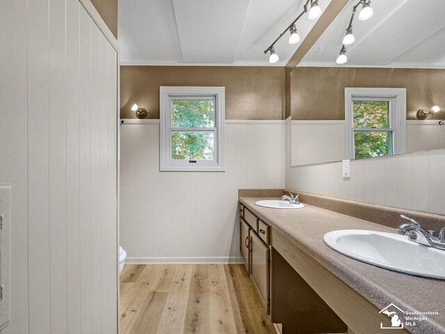 6405 Stillwater Ct, Erie, MI 48133 - bathroom with wood finished floors, double vanity, healthy amount of natural light, toilet, and a wainscoted wall