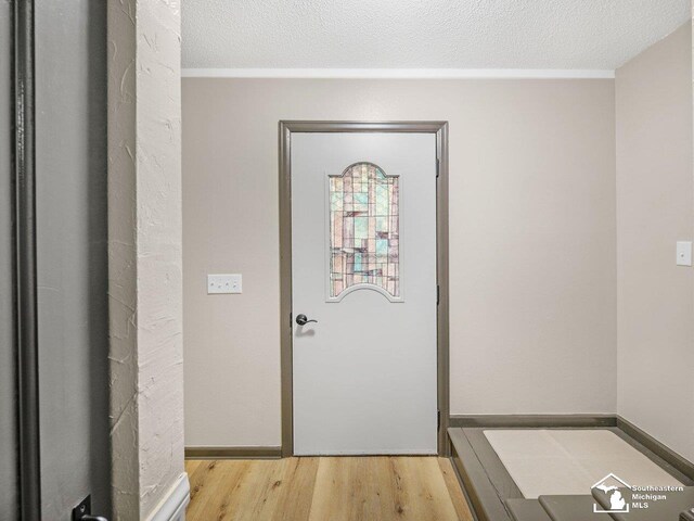 6405 Stillwater Ct, Erie, MI 48133 - hall featuring light wood finished floors and a textured ceiling