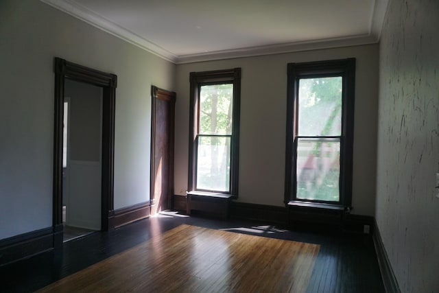 empty room with crown molding and dark hardwood / wood-style floors