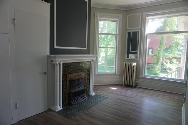 unfurnished living room with dark hardwood / wood-style flooring, radiator heating unit, a wood stove, and ornamental molding