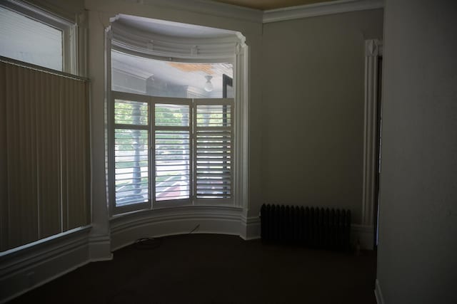 unfurnished room featuring crown molding and radiator heating unit