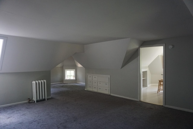 additional living space featuring carpet floors, radiator, and vaulted ceiling