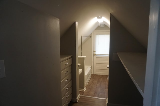 interior space featuring dark wood-type flooring and vaulted ceiling