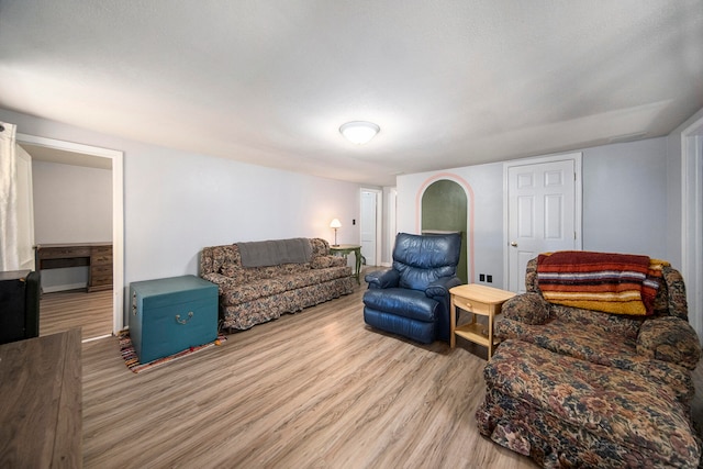 living room with light hardwood / wood-style floors