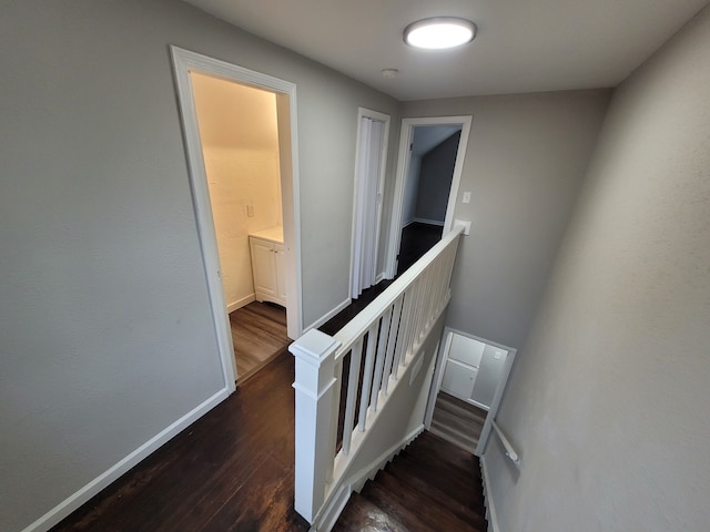 staircase featuring wood-type flooring