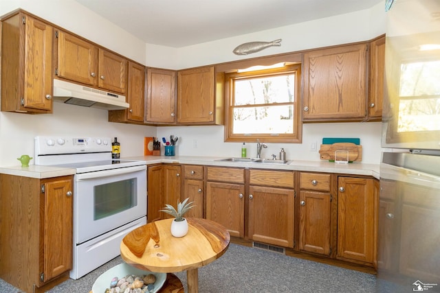 kitchen with white range with electric stovetop and sink