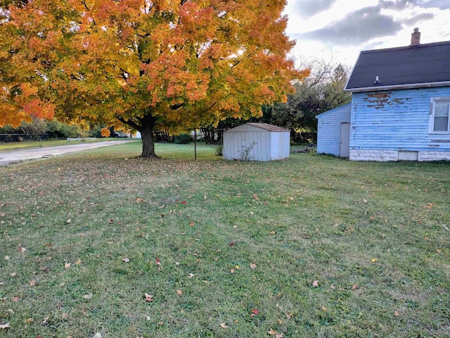 view of yard featuring a storage unit