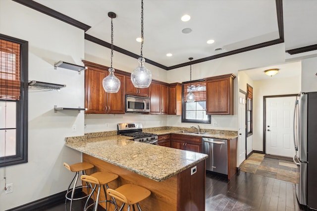 kitchen with pendant lighting, dark hardwood / wood-style floors, kitchen peninsula, and appliances with stainless steel finishes