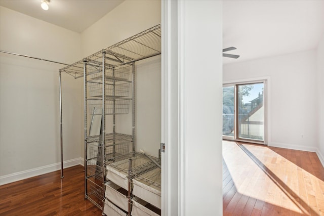 spacious closet featuring ceiling fan and dark wood-type flooring