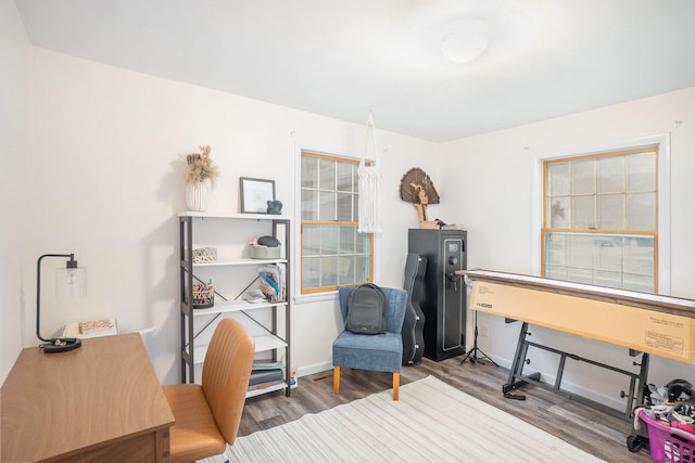 office space featuring hardwood / wood-style flooring