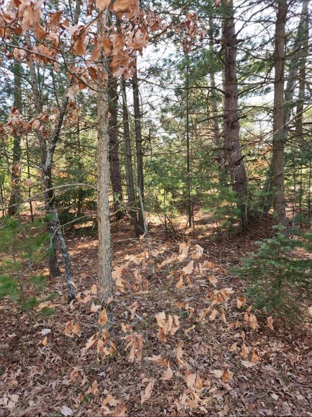 view of local wilderness