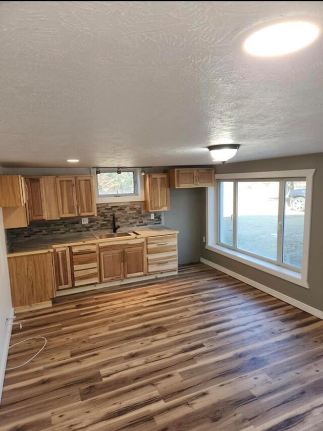 kitchen featuring decorative backsplash, dark hardwood / wood-style floors, a healthy amount of sunlight, and sink