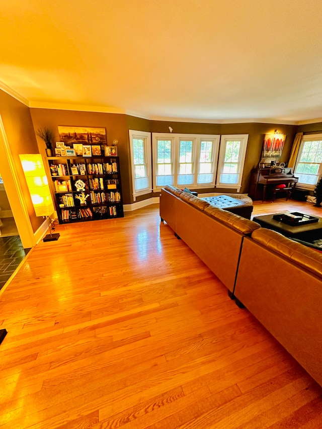 living room with crown molding and light wood-type flooring