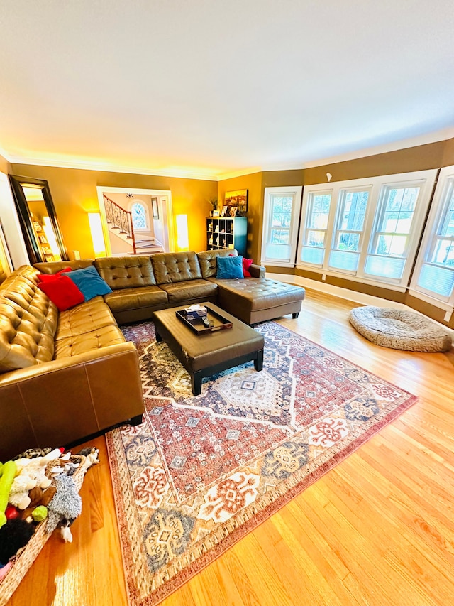 living room featuring hardwood / wood-style flooring and crown molding