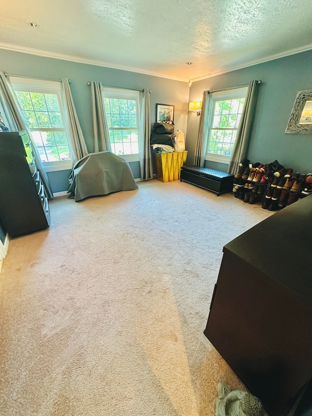 bedroom featuring a textured ceiling, carpet floors, multiple windows, and ornamental molding