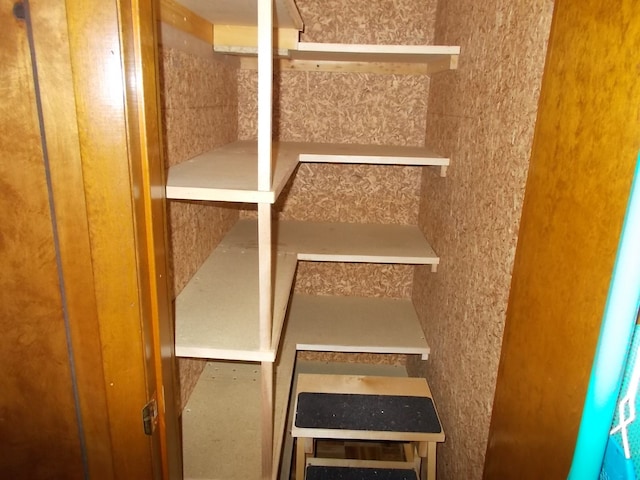 1164 Mary Jane Cir, Caro, MI 48723 - view of closet
