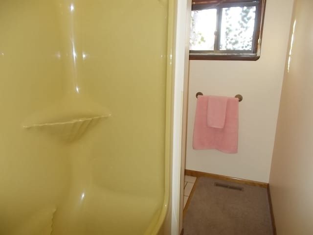 1164 Mary Jane Cir, Caro, MI 48723 - bathroom featuring baseboards, visible vents, and walk in shower
