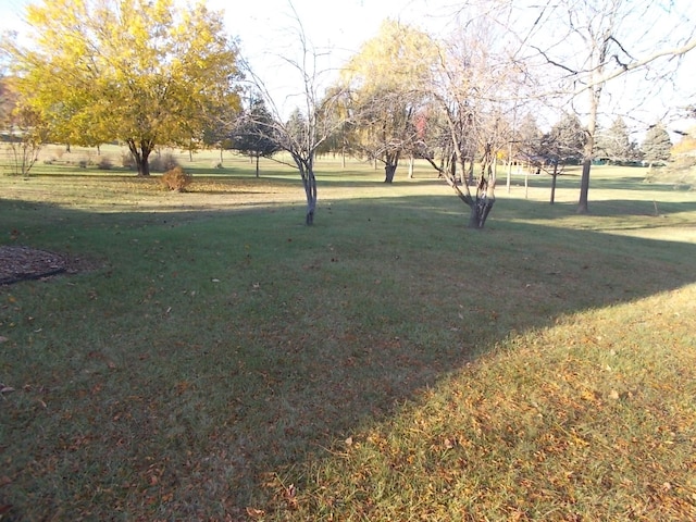 1164 Mary Jane Cir, Caro, MI 48723 - view of yard