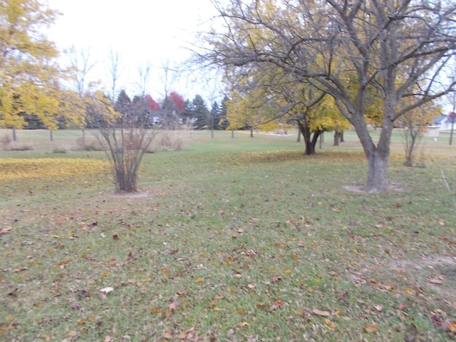 view of yard featuring a rural view